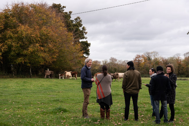 Donal O’Grady’s beef farm, Co. Limerick